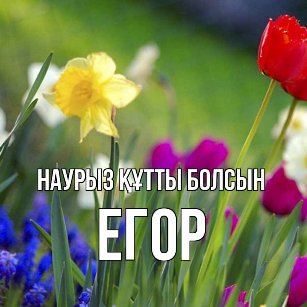 Открытка на каждый день с именем, Егор Наурыз құтты болсын наурыз  3 открытки Прикольная открытка с пожеланием онлайн скачать бесплатно 