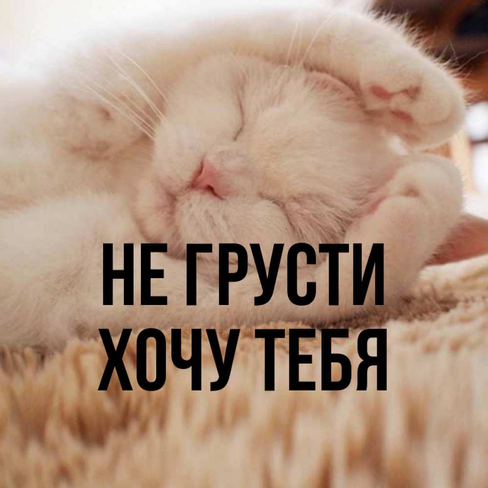 Картинка Не грусти, Хочу тебя