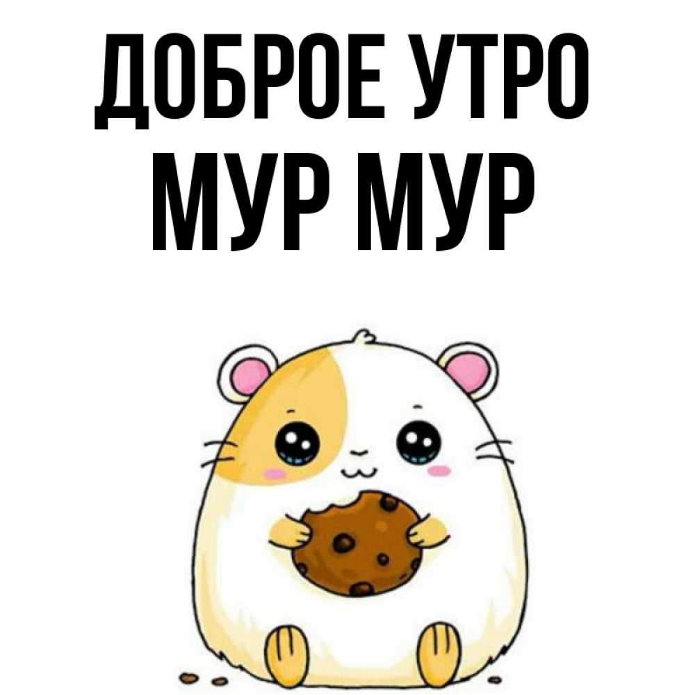 Имя мур