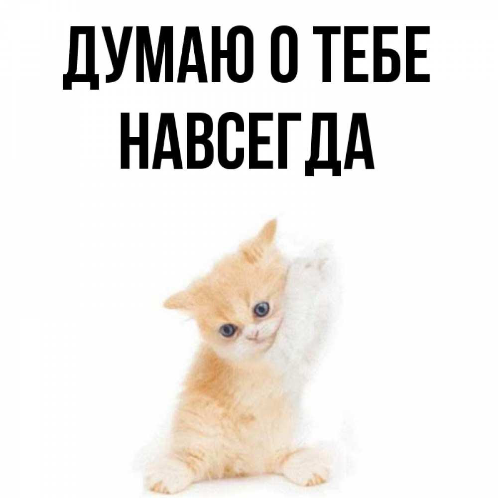 Думал навсегда. Думал навсегда