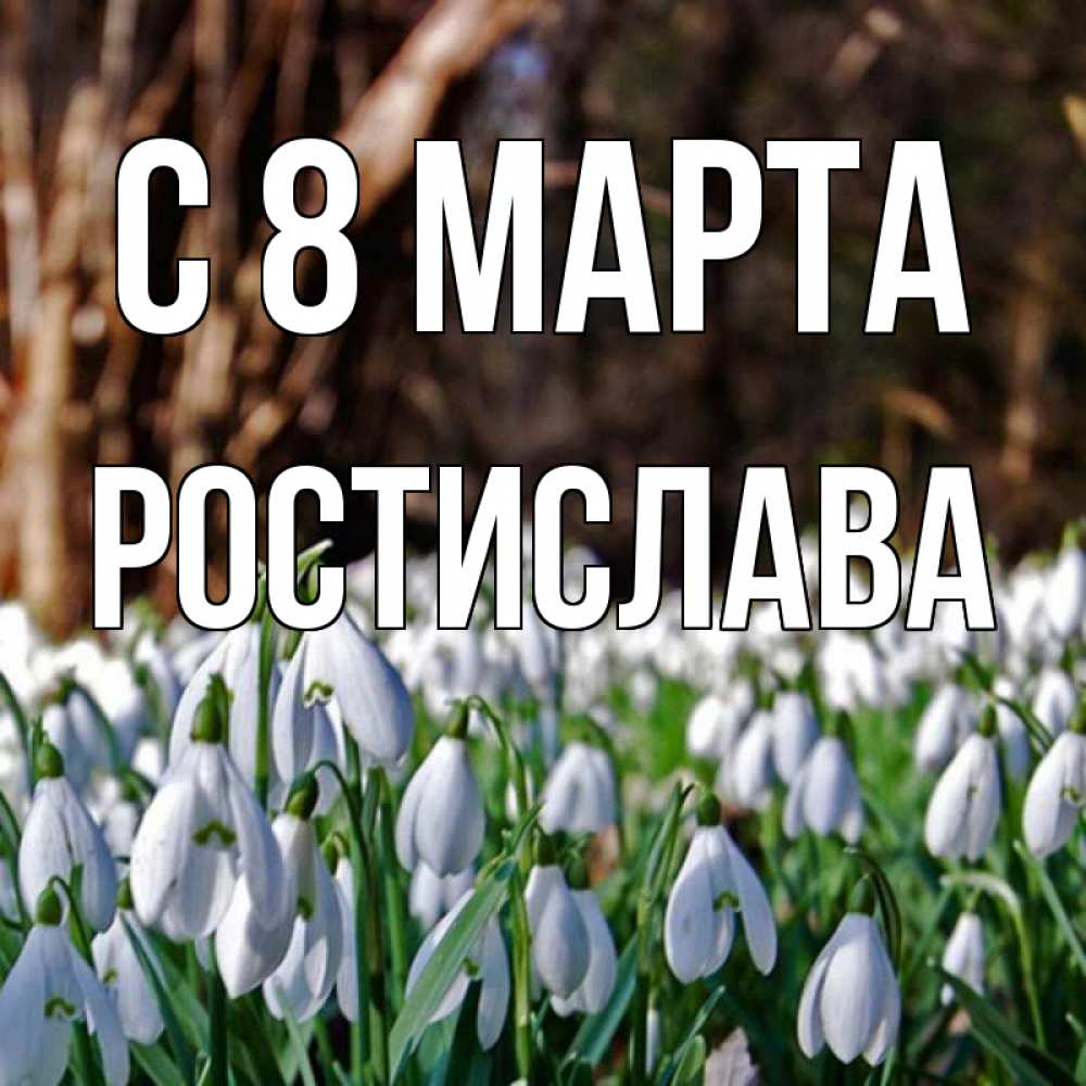 Открытка на каждый день с именем, Ростислава С 8 марта с подснежниками 1 Прикольная открытка с пожеланием онлайн скачать бесплатно 