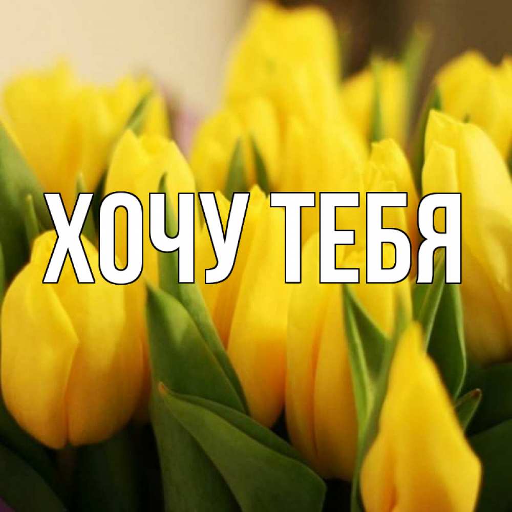 Открытка на каждый день с именем, Хочу-тебя Главная цветы Прикольная открытка с пожеланием онлайн скачать бесплатно 