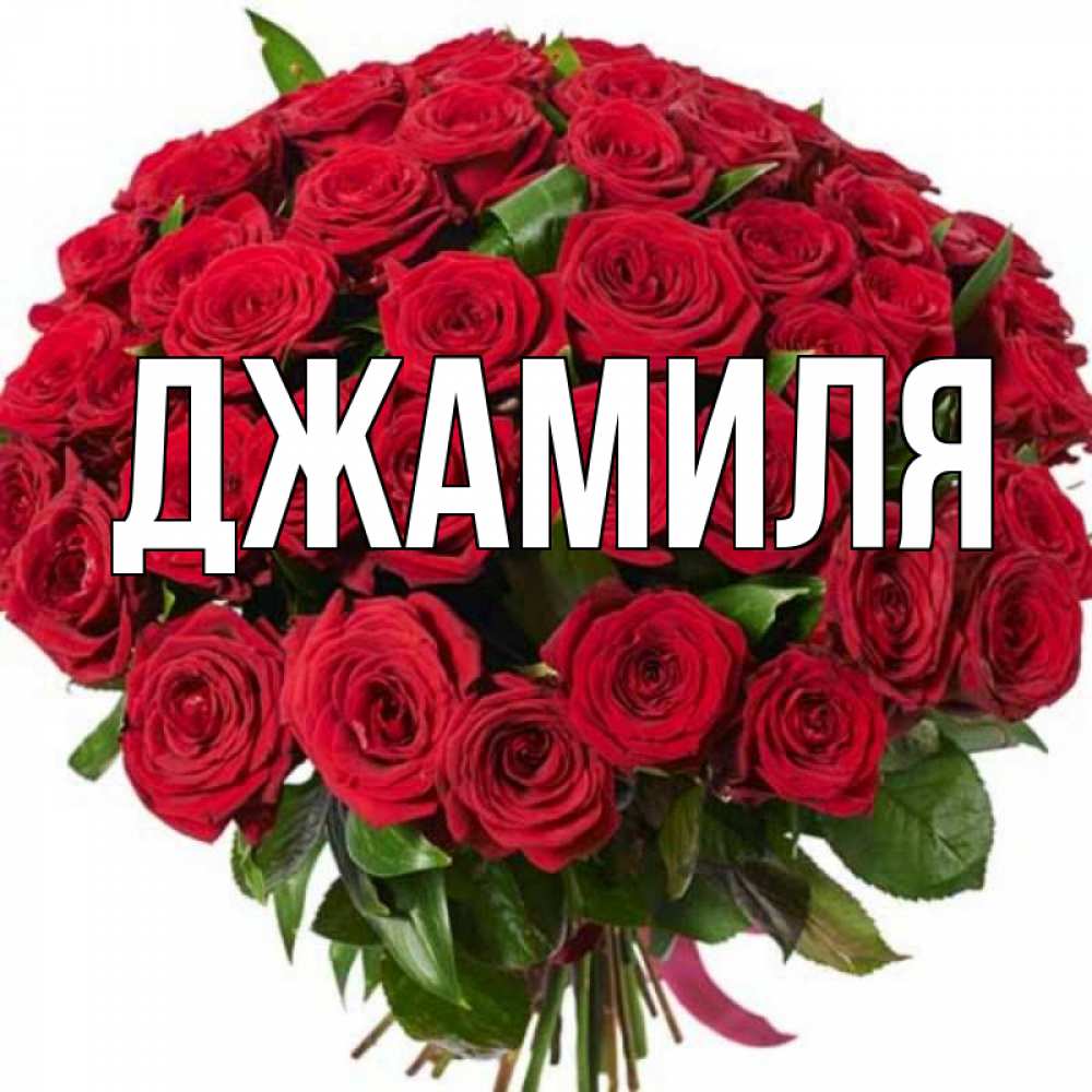 Джамиля с днем рождения картинки красивые с надписями и пожеланиями