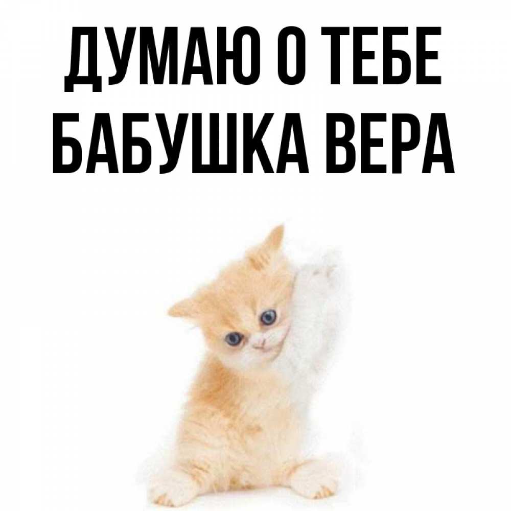 Открытка на каждый день с именем, Бабушка-Вера Думаю о тебе зверушки и милота Прикольная открытка с пожеланием онлайн скачать бесплатно 