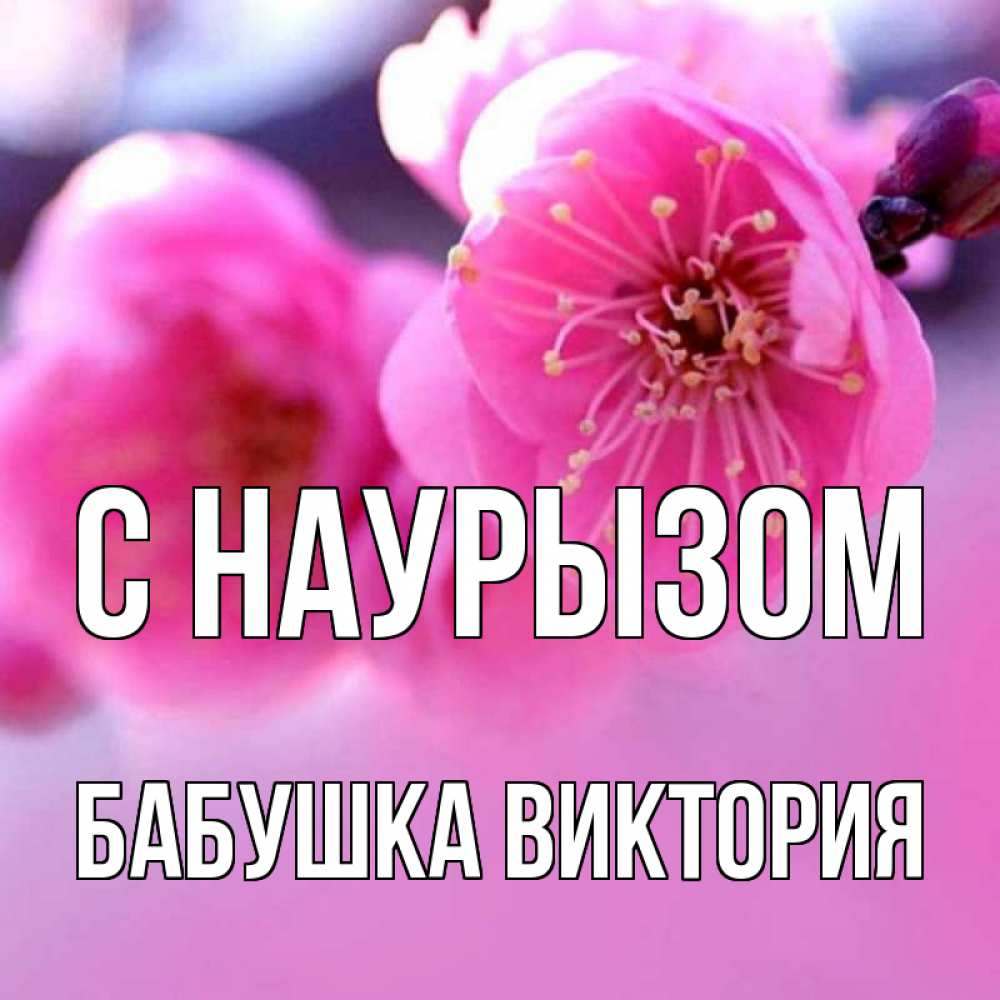 Открытка на каждый день с именем, Бабушка-Виктория С наурызом международный женский день Прикольная открытка с пожеланием онлайн скачать бесплатно 
