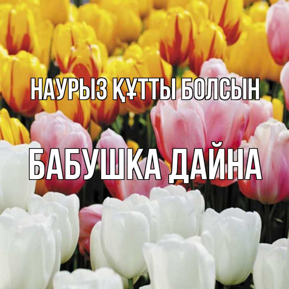 Открытка на каждый день с именем, Бабушка-Дайна Наурыз құтты болсын разноцветные цветы Прикольная открытка с пожеланием онлайн скачать бесплатно 