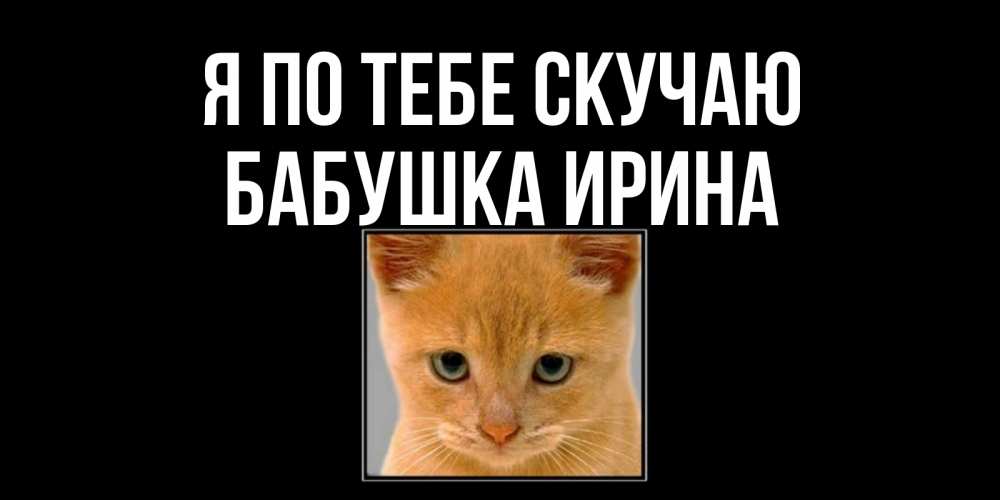 Открытка на каждый день с именем, Бабушка-Ирина Я по тебе скучаю открытки рыжий котенок скучает по тебе Прикольная открытка с пожеланием онлайн скачать бесплатно 