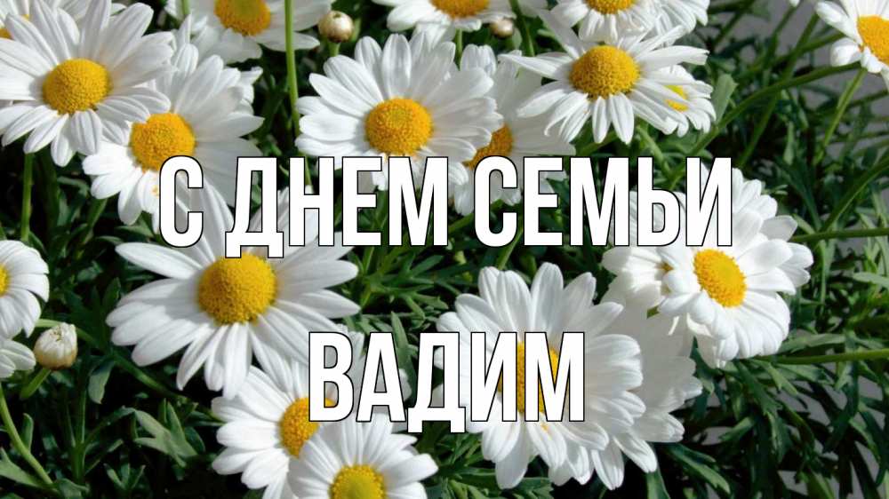Открытка на каждый день с именем, Вадим С днем семьи с днем семьи Прикольная открытка с пожеланием онлайн скачать бесплатно 