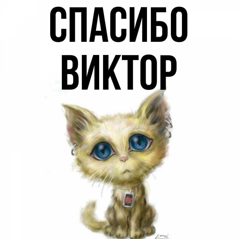 Открытка на каждый день с именем, Виктор Спасибо рисованный кот благодарит вас Прикольная открытка с пожеланием онлайн скачать бесплатно 