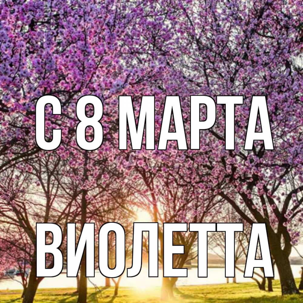 Открытка на каждый день с именем, Виолетта С 8 МАРТА международный женский день Прикольная открытка с пожеланием онлайн скачать бесплатно 