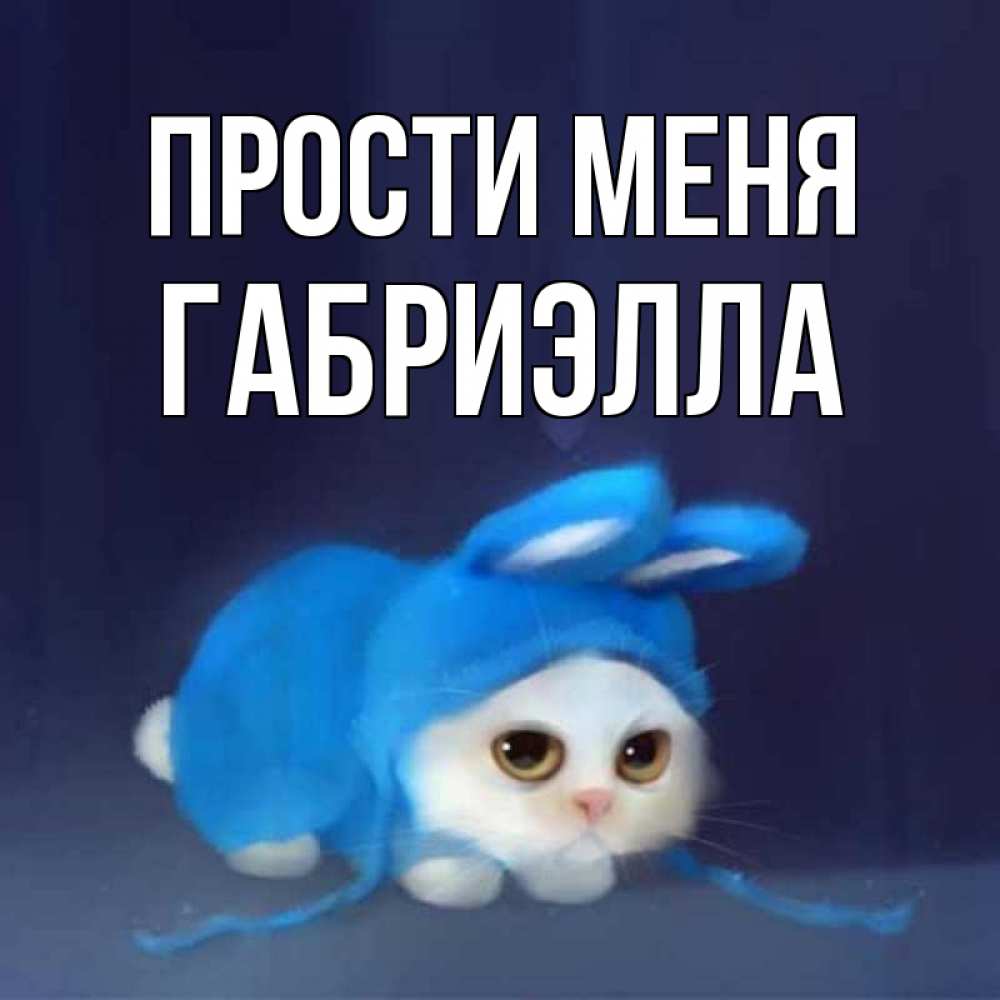 Открытка на каждый день с именем, Габриэлла Прости меня невинный котозай просит прощения Прикольная открытка с пожеланием онлайн скачать бесплатно 