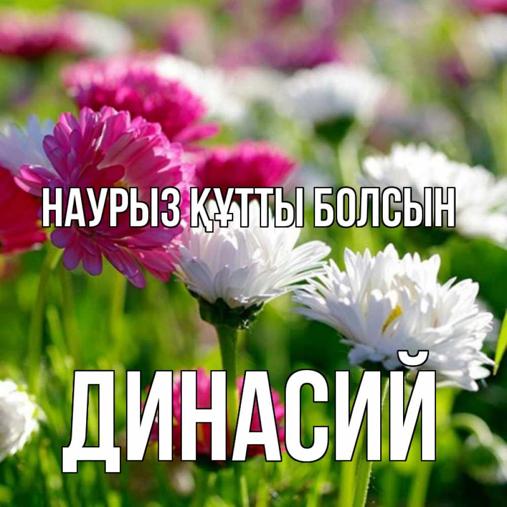 Открытка на каждый день с именем, Динасий Наурыз құтты болсын наурыз Прикольная открытка с пожеланием онлайн скачать бесплатно 