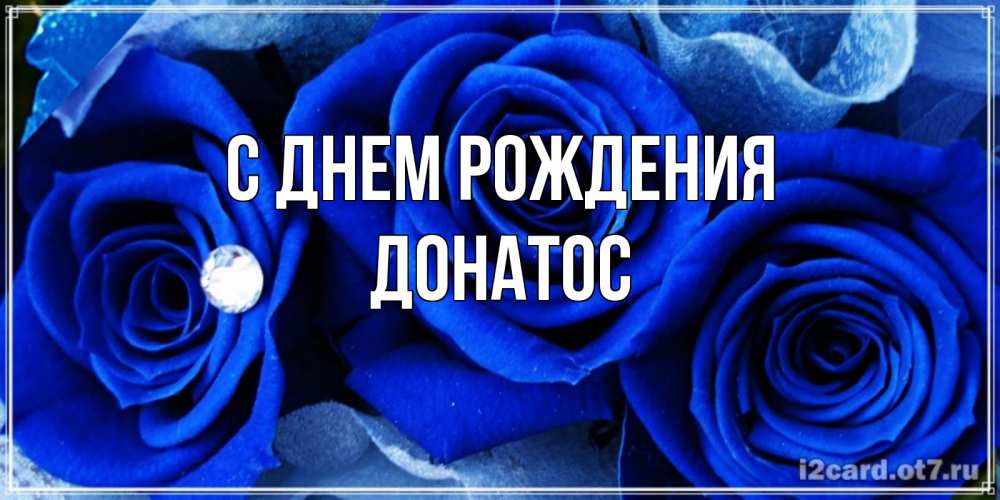 Открытка на каждый день с именем, Донатос С днем рождения синие розы в росе Прикольная открытка с пожеланием онлайн скачать бесплатно 
