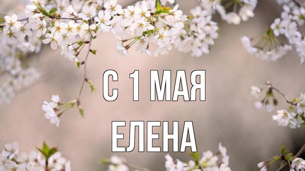Открытка на каждый день с именем, Елена С 1 мая С 1 мая Прикольная открытка с пожеланием онлайн скачать бесплатно 