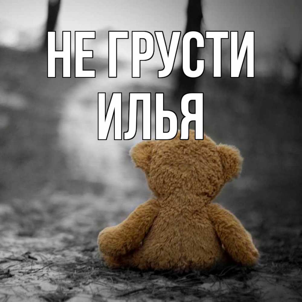 Открытка на каждый день с именем, Илья Не грусти медведь со спин Прикольная открытка с пожеланием онлайн скачать бесплатно 