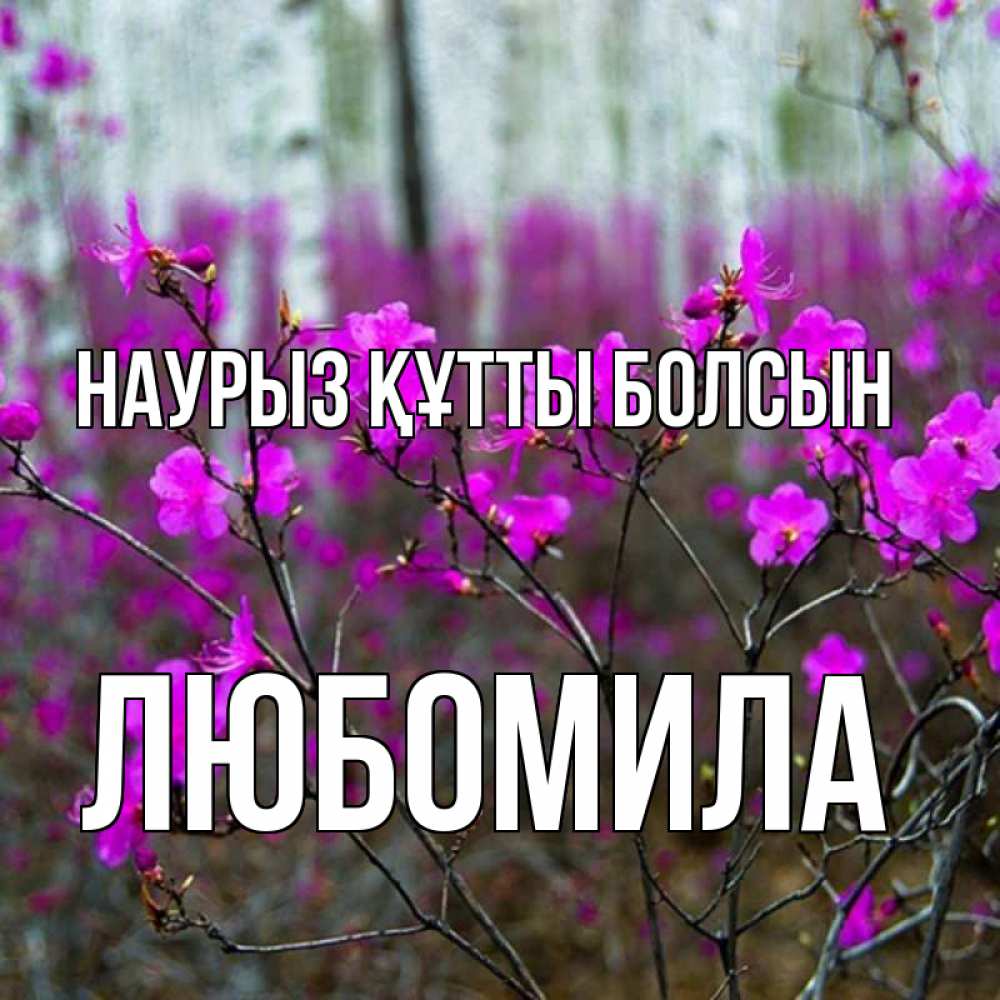 Открытка на каждый день с именем, Любомила Наурыз құтты болсын дикие цветы Прикольная открытка с пожеланием онлайн скачать бесплатно 
