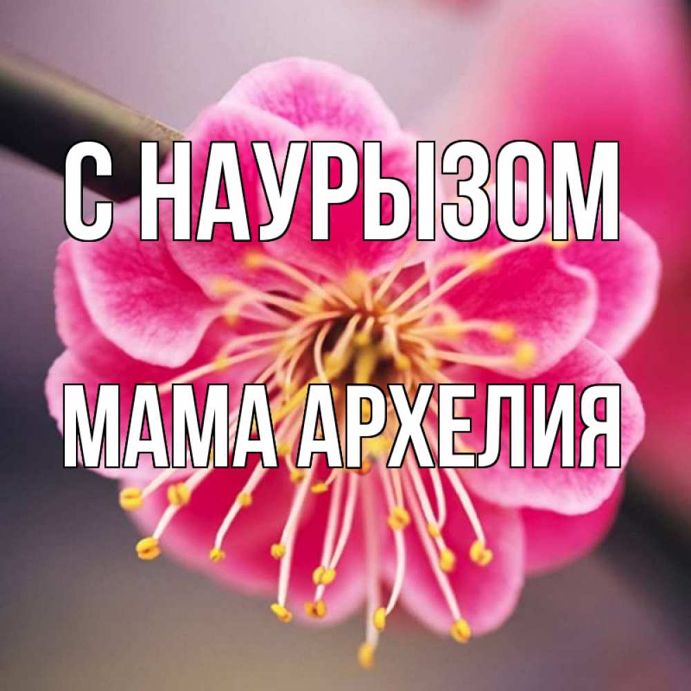 Открытка на каждый день с именем, Мама-Архелия С наурызом цветы Прикольная открытка с пожеланием онлайн скачать бесплатно 