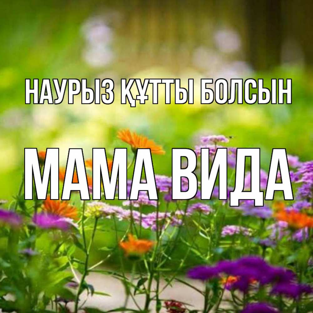 Открытка на каждый день с именем, Мама-Вида Наурыз құтты болсын цветы Прикольная открытка с пожеланием онлайн скачать бесплатно 