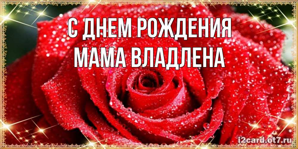 Открытка на каждый день с именем, Мама-Владлена С днем рождения роса и роза. открытка с красивой розой Прикольная открытка с пожеланием онлайн скачать бесплатно 