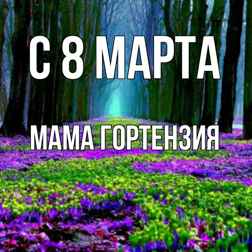 Открытка на каждый день с именем, Мама-Гортензия С 8 МАРТА фиолетовые цветы в лесу 1 Прикольная открытка с пожеланием онлайн скачать бесплатно 
