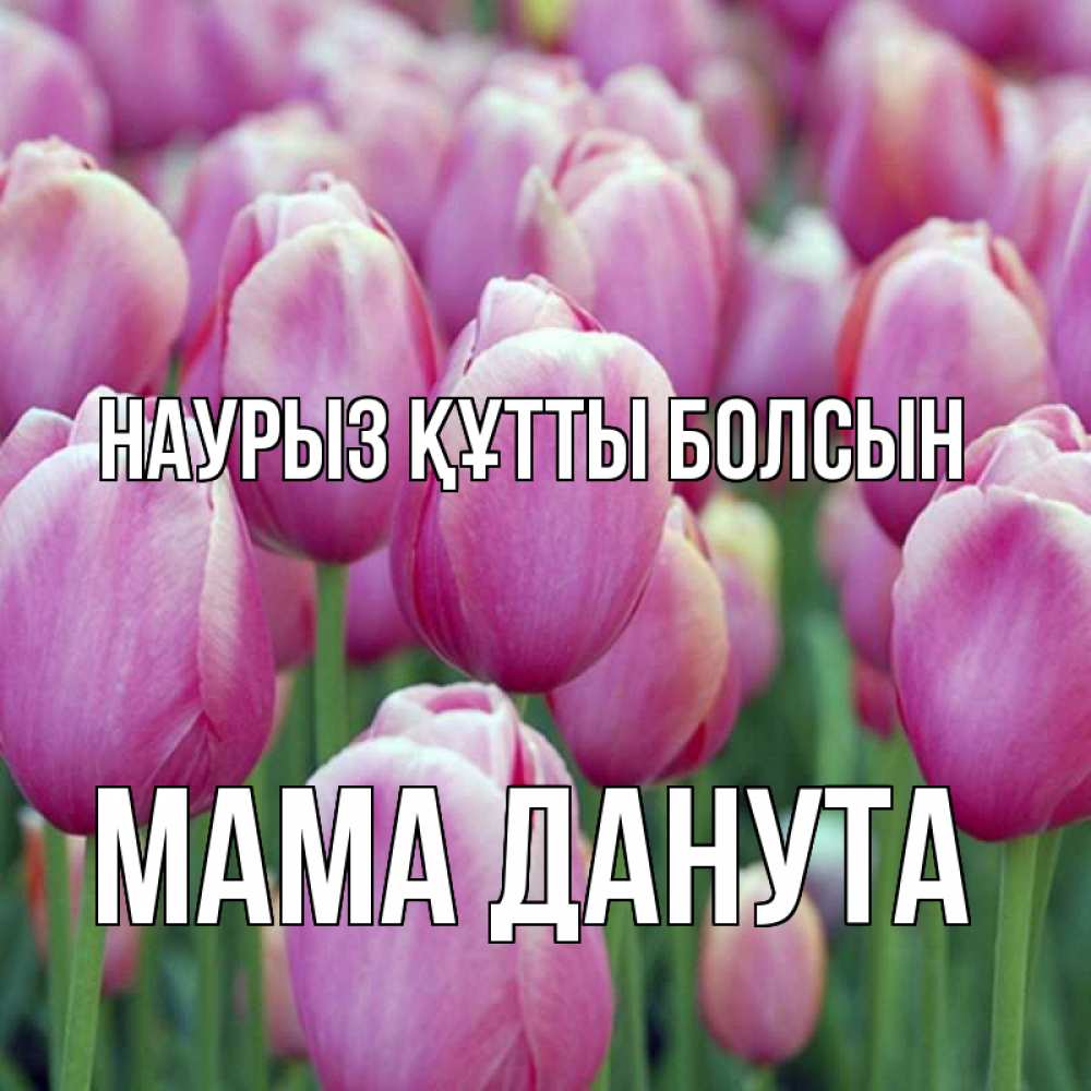 Открытка на каждый день с именем, Мама-Данута Наурыз құтты болсын на наурыз  день 3 Прикольная открытка с пожеланием онлайн скачать бесплатно 