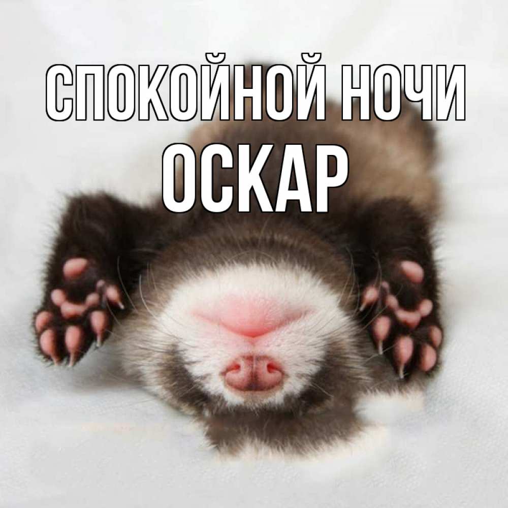 Открытка на каждый день с именем, Оскар Спокойной ночи зверек Прикольная открытка с пожеланием онлайн скачать бесплатно 