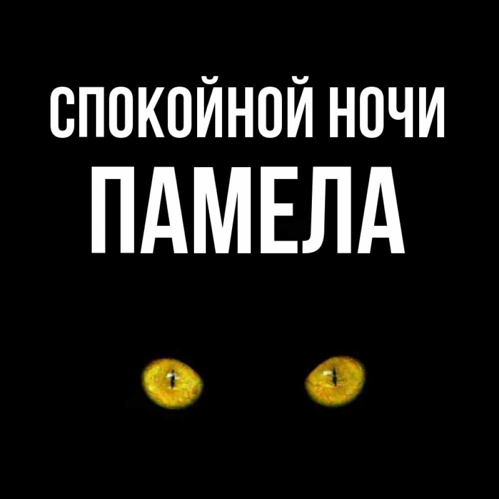 Открытка на каждый день с именем, Памела Спокойной ночи сладких снов бесстрашный мой дружочек Прикольная открытка с пожеланием онлайн скачать бесплатно 