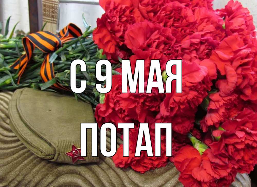 Открытка на каждый день с именем, Потап С 9 мая 9 мая Прикольная открытка с пожеланием онлайн скачать бесплатно 
