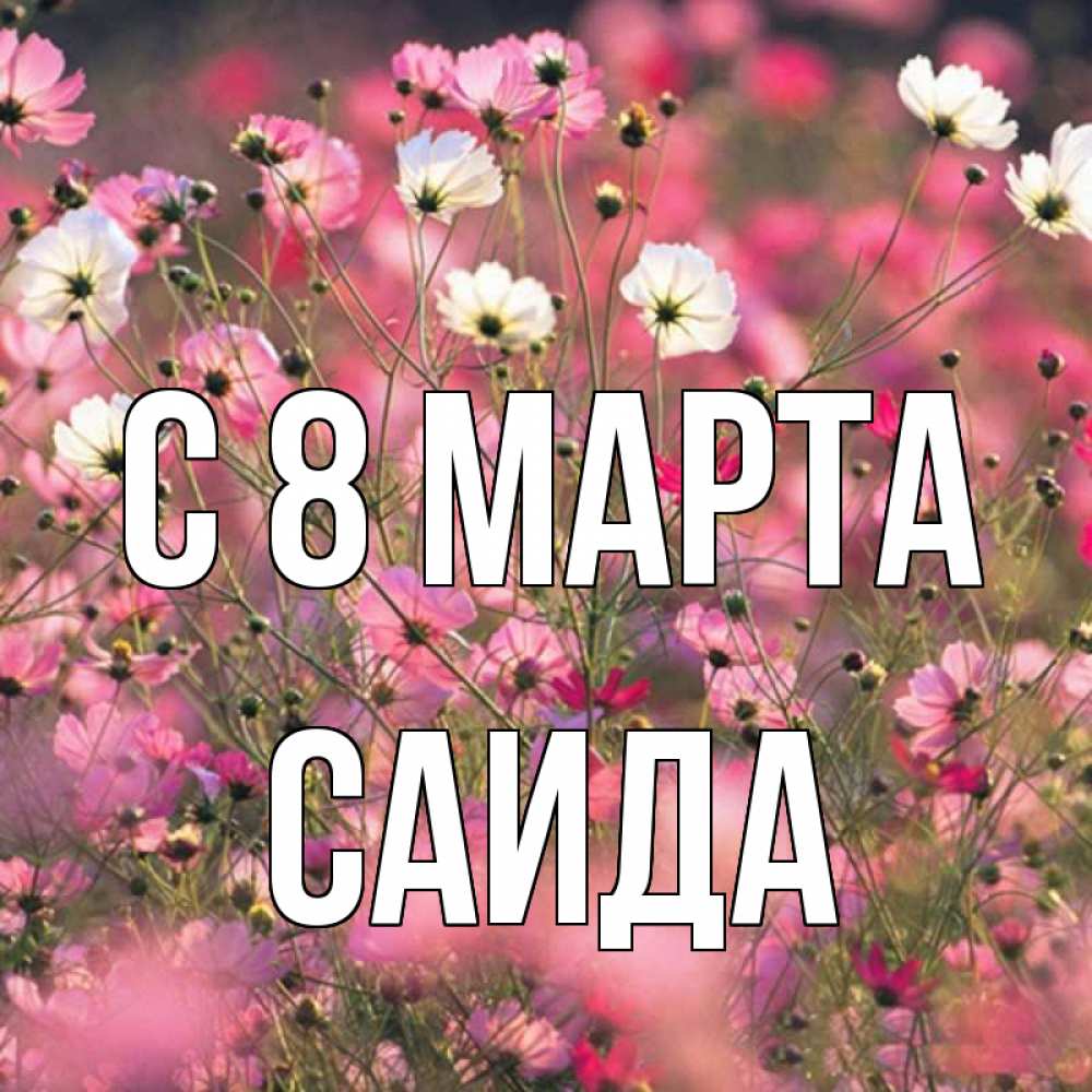 Открытка на каждый день с именем, Саида С 8 марта красиво 1 Прикольная открытка с пожеланием онлайн скачать бесплатно 