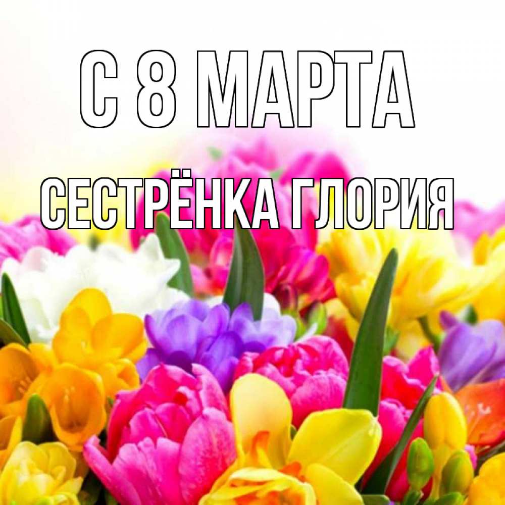 Открытка на каждый день с именем, Сестрёнка-Глория С 8 марта тюльпаны Прикольная открытка с пожеланием онлайн скачать бесплатно 