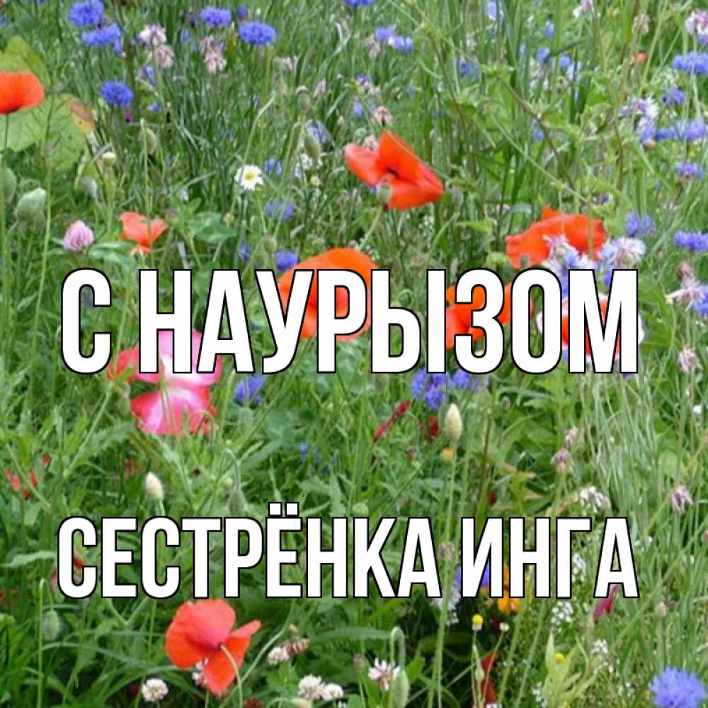 Открытка на каждый день с именем, Сестрёнка-Инга С наурызом праздник весны наурыз супер открытка Прикольная открытка с пожеланием онлайн скачать бесплатно 