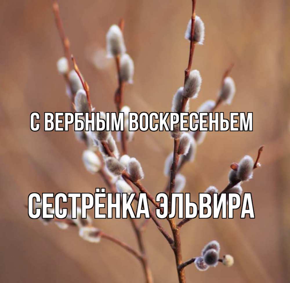 Открытка на каждый день с именем, Сестрёнка-Эльвира С вербным воскресеньем верба Прикольная открытка с пожеланием онлайн скачать бесплатно 