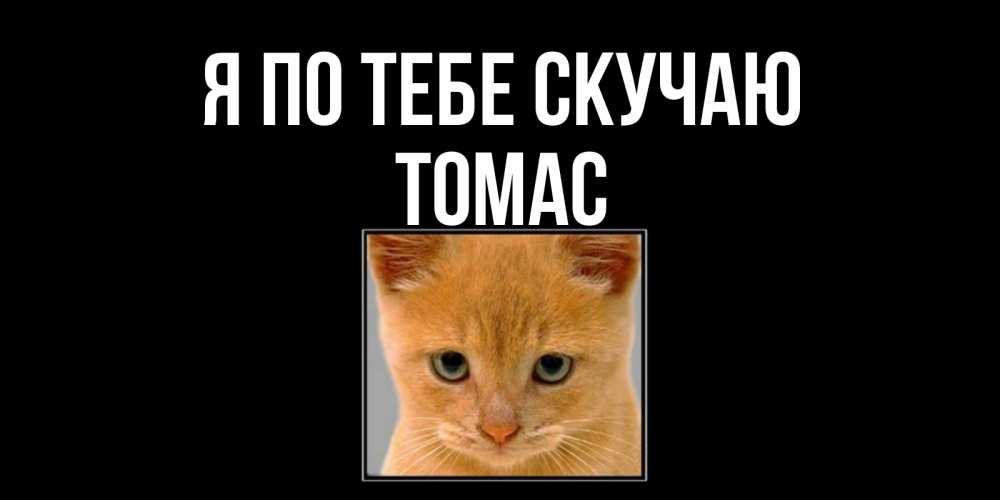 Открытка на каждый день с именем, Томас Я по тебе скучаю открытки рыжий котенок скучает по тебе Прикольная открытка с пожеланием онлайн скачать бесплатно 
