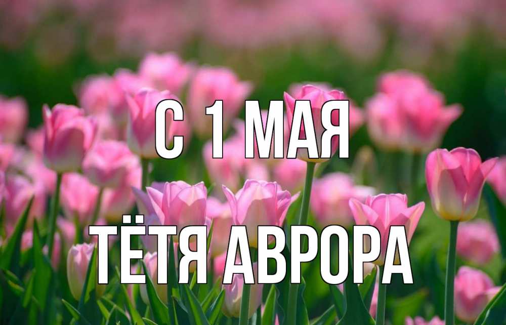 Открытка на каждый день с именем, Тётя-Аврора С 1 мая С 1 мая Прикольная открытка с пожеланием онлайн скачать бесплатно 