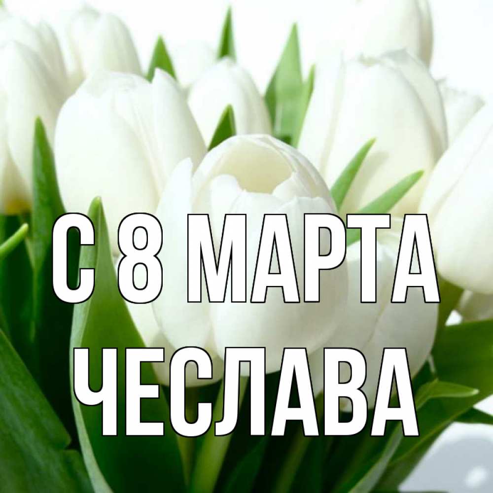 Открытка на каждый день с именем, Чеслава С 8 МАРТА цветы Прикольная открытка с пожеланием онлайн скачать бесплатно 