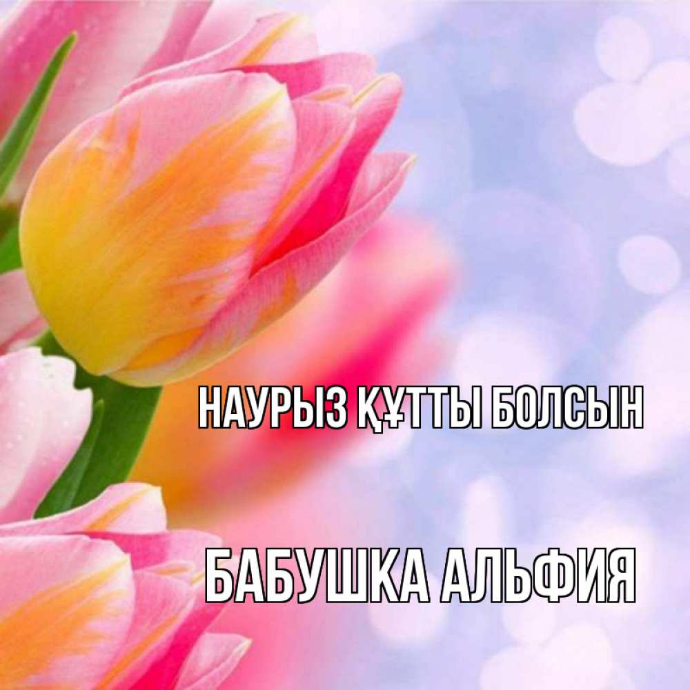 Открытка на каждый день с именем, Бабушка-Альфия Наурыз құтты болсын тюльпаны 2 Прикольная открытка с пожеланием онлайн скачать бесплатно 