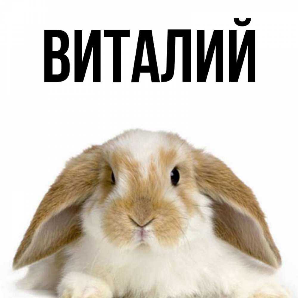 С именинами виталий картинки