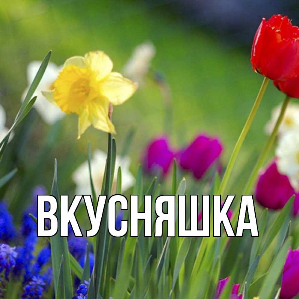 Открытка на каждый день с именем, Вкусняшка Главная наурыз  3 открытки Прикольная открытка с пожеланием онлайн скачать бесплатно 