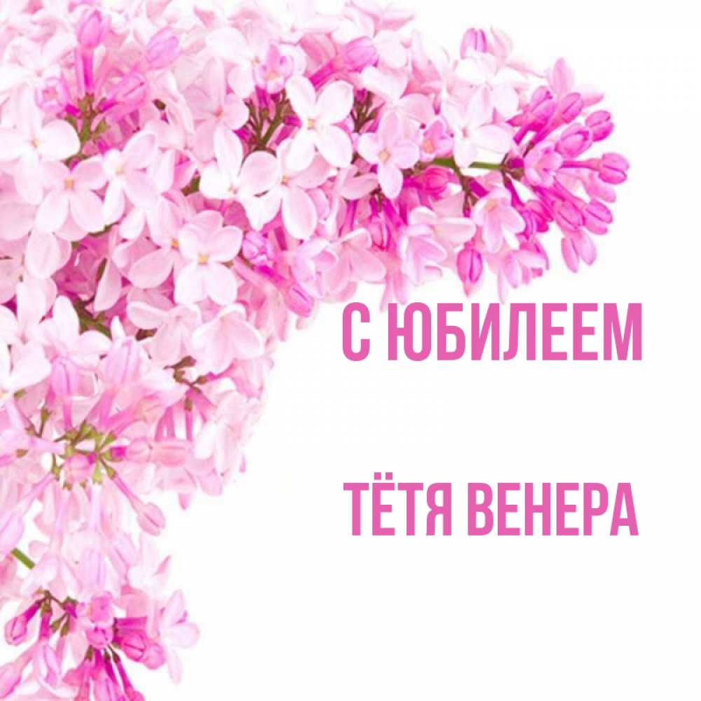 Открытка на каждый день с именем, Тётя-Венера С юбилеем Сирень на белом фоне Прикольная открытка с пожеланием онлайн скачать бесплатно 