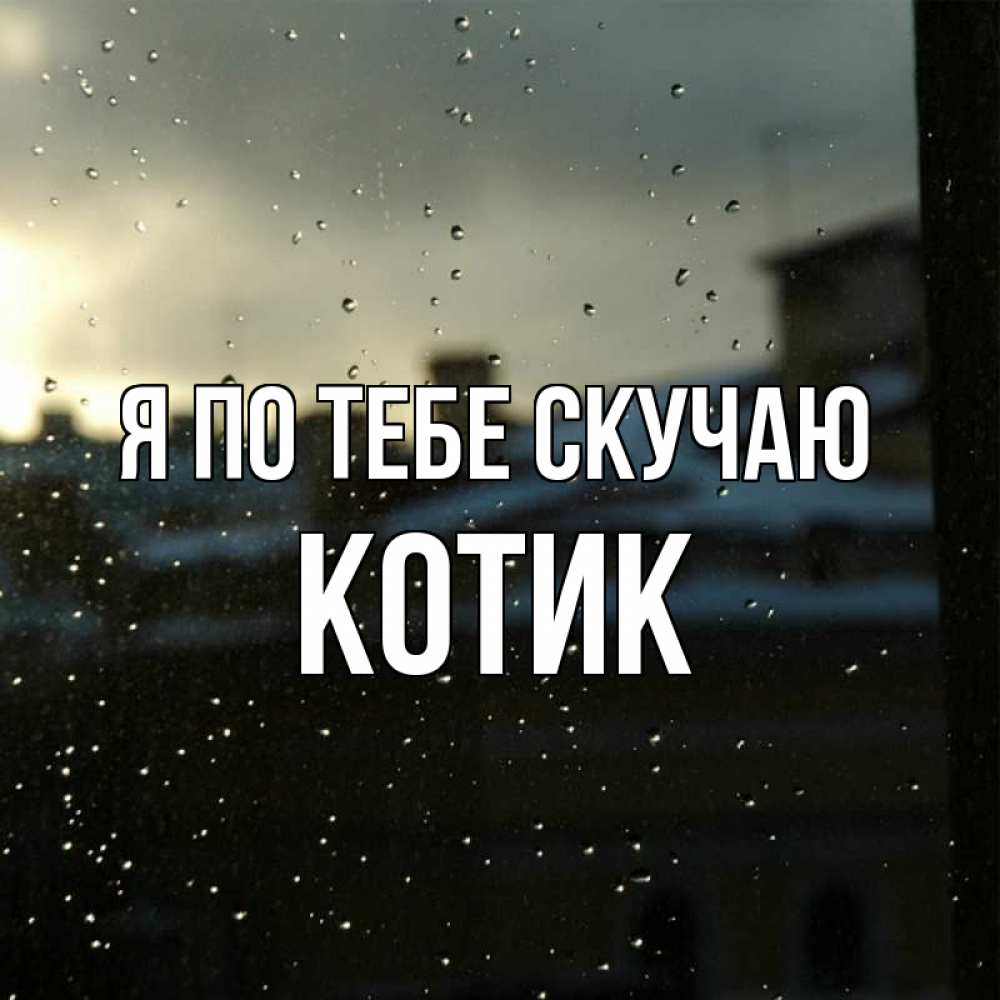 Открытка на каждый день с именем, Котик Я по тебе скучаю капли на стекле Прикольная открытка с пожеланием онлайн скачать бесплатно 