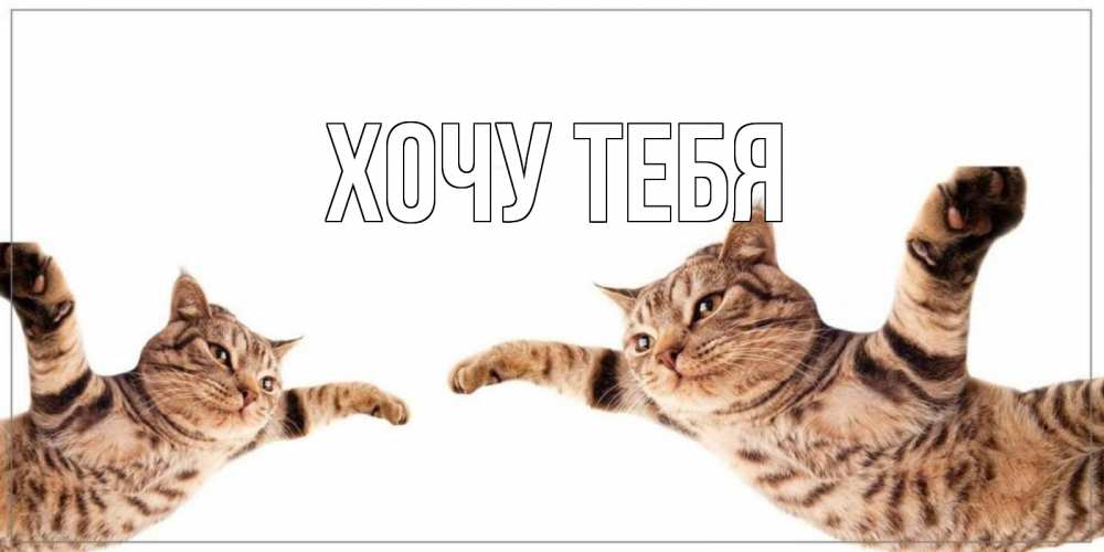 Открытка на каждый день с именем, Хочу-тебя Главная хорошего дня Прикольная открытка с пожеланием онлайн скачать бесплатно 