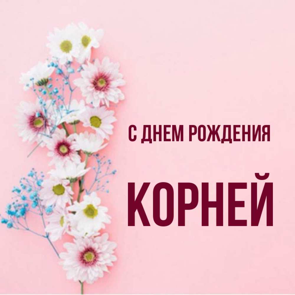 Привет корень. Корни с днем рождения.