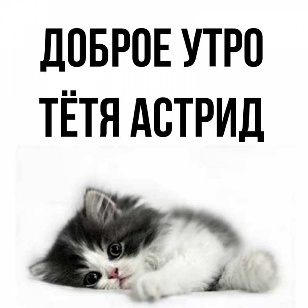 Открытка на каждый день с именем, Тётя-Астрид Доброе утро кот лапки Прикольная открытка с пожеланием онлайн скачать бесплатно 