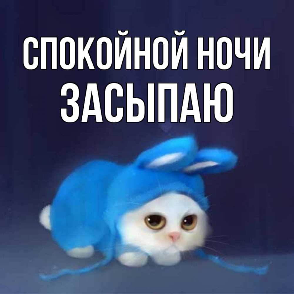 Открытка на каждый день с именем, Засыпаю Спокойной ночи кот в голубом костюме кролика с ушками Прикольная открытка с пожеланием онлайн скачать бесплатно 