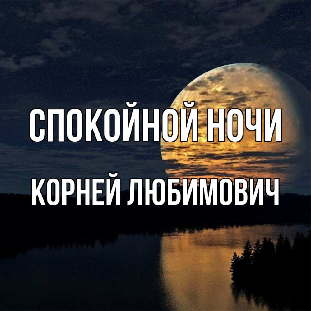 Корни и ночью и днем