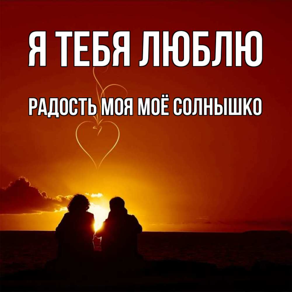 Прикол картинка, открытки солнышко люблю тебя