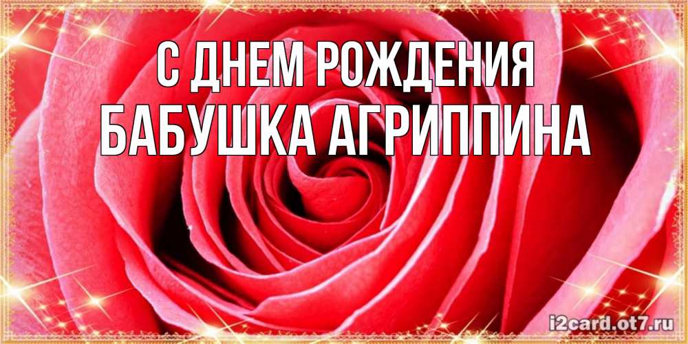 Открытка на каждый день с именем, Бабушка-Агриппина С днем рождения розовая роза очень крупный бутон Прикольная открытка с пожеланием онлайн скачать бесплатно 