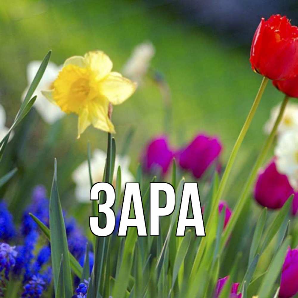 Открытка с именем, Зара, 