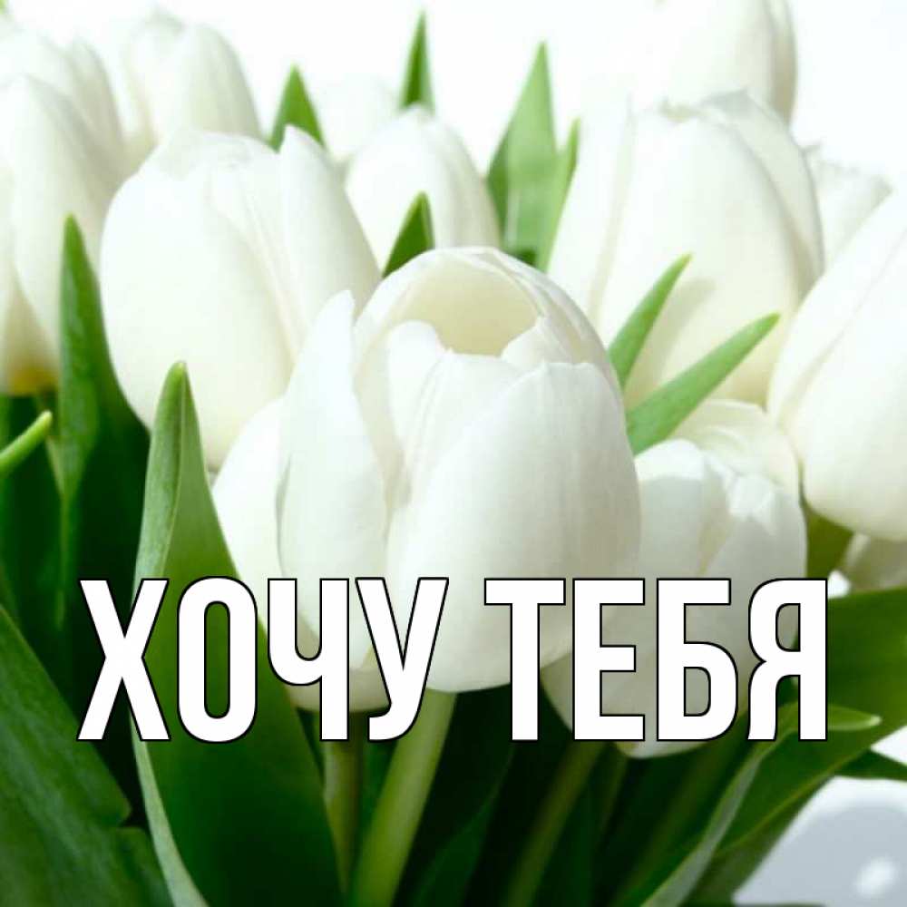 Картинка  с именем , Хочу тебя