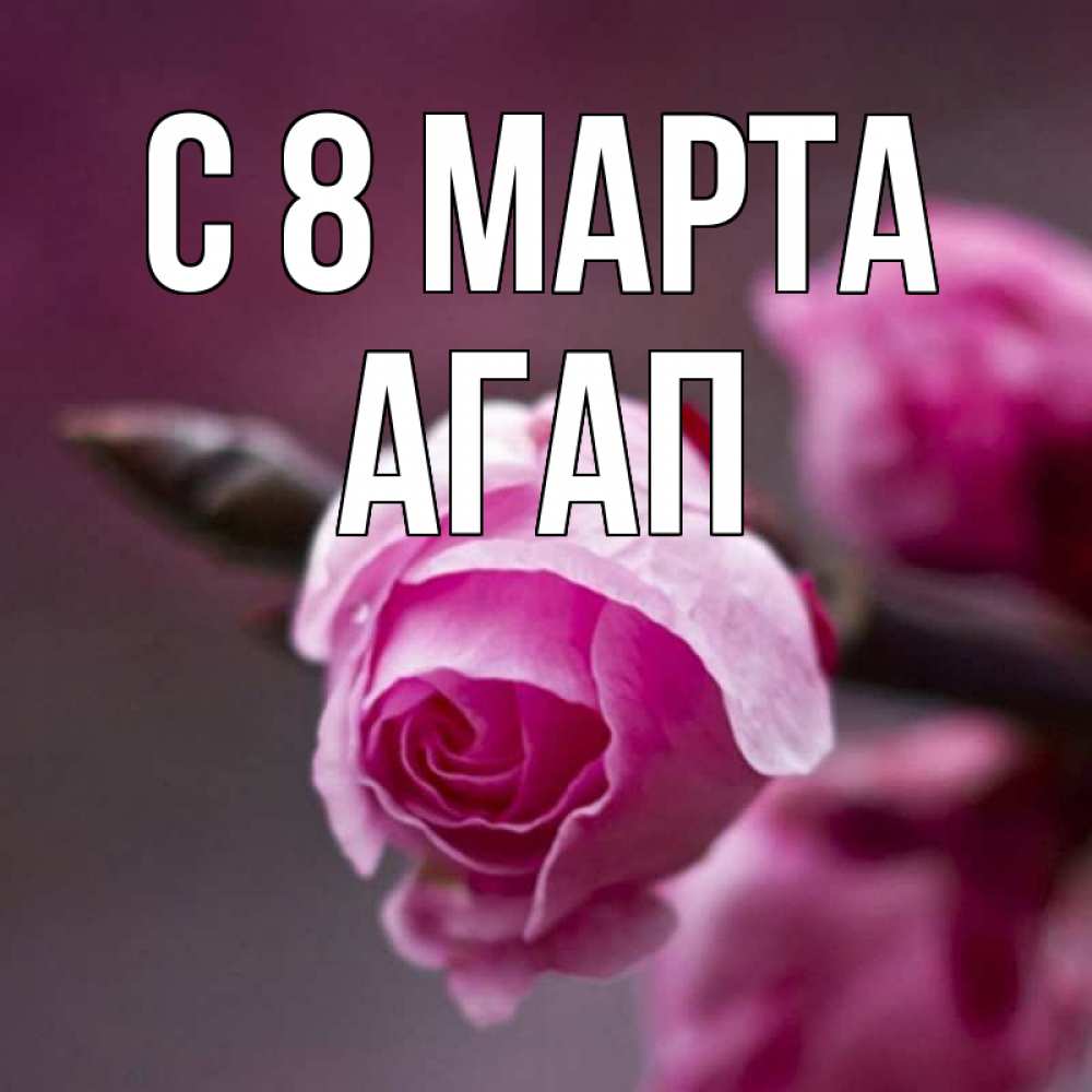 Открытка на каждый день с именем, Агап С 8 МАРТА весна Прикольная открытка с пожеланием онлайн скачать бесплатно 